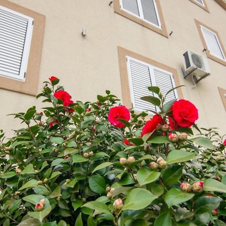 Apartments Savic تْشيرسيك نوفي المظهر الخارجي الصورة