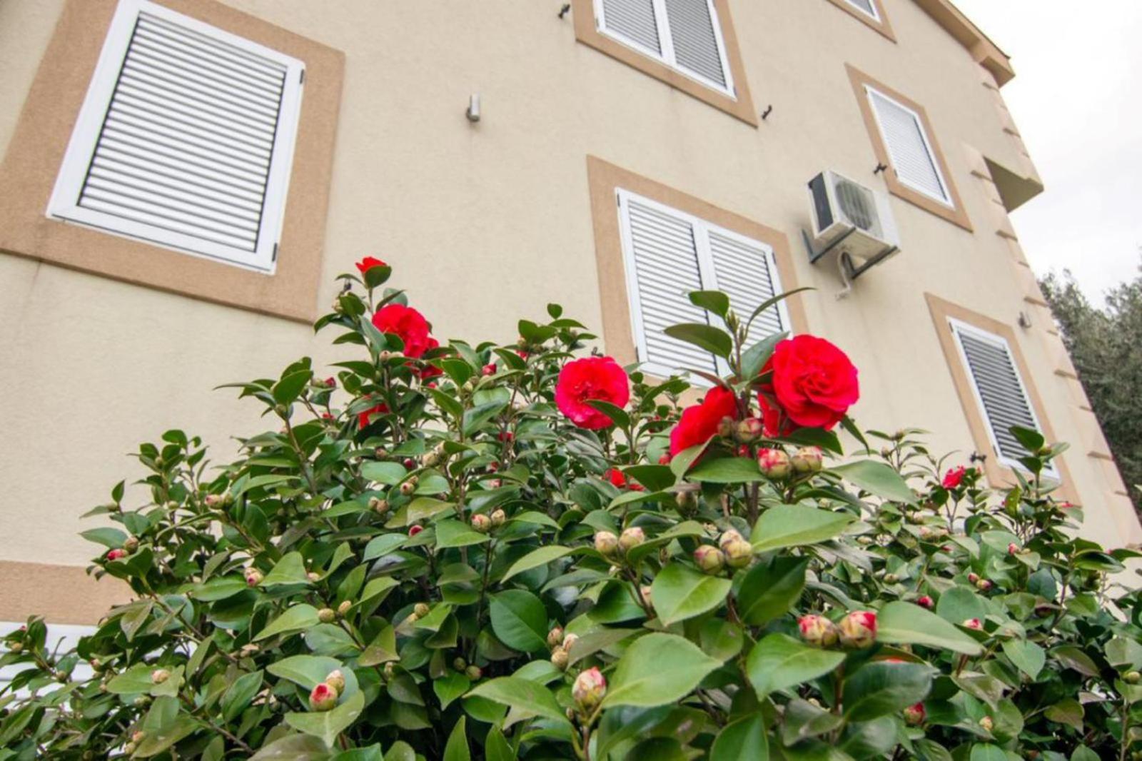 Apartments Savic تْشيرسيك نوفي المظهر الخارجي الصورة